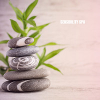Relaxing Mindfulness Meditation Relaxation Maestro, Deep Sleep Meditation and Yoga Tribe - Sensibility Spa