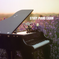 Instrumental, Study Music Academy and Musica Para Estudiar Academy - Study Piano Exam