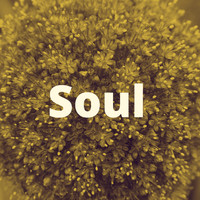 Sebastian King - Soul