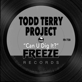 Todd Terry - Can U Dig It?