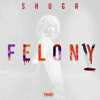Shuga - Felony (Explicit)