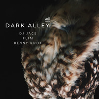 DJ Jace - Dark Alley