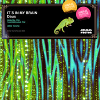 Daus - Its in My Brain