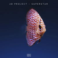 2D Project - Superstar