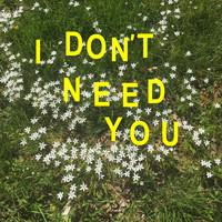 Ryan Laetari - I Don't Need You