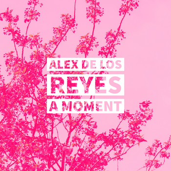 Alex De Los Reyes - A Moment