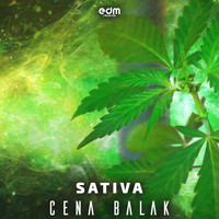 Cena Balak - Sativa