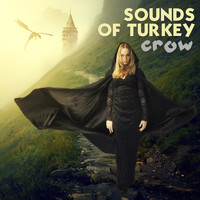 Crow - Sounds Of Turkey