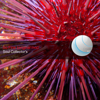 Soul Collector's - So Fine
