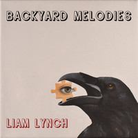 Liam Lynch - Backyard Melodies