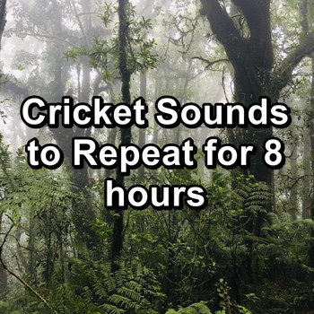 Crickets - Cricket Sounds to Repeat for 8 hours