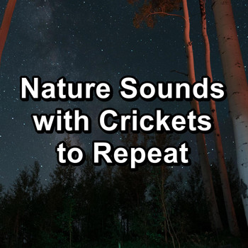 Crickets - Nature Sounds with Crickets to Repeat
