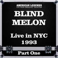 Blind Melon - Live in NYC 1993 Part One (Live)