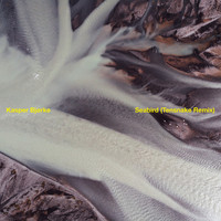 Kasper Bjørke - Seabird (Tensnake Remixes)