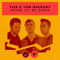 VIZE & Tom Gregory - Never Let Me Down