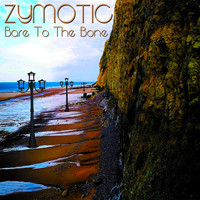 Zymotic - Bare to the Bone