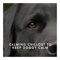 Relaxing Dog Chillout - Calming Chillout To Keep Doggy Calm