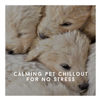 Pet Chillout Music - Calming Pet Chillout For No Stress