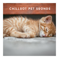 Pet Chillout Music - Chillout Pet Sounds - Calmed Pets, Happy Life