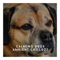 Relaxing Dog Chillout - Calming Dogs Ambeint Chillout