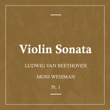 l'Orchestra Filarmonica di Moss Weisman - Beethoven: Violin Sonata Pt.1