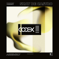 Shay De Castro - Assembly