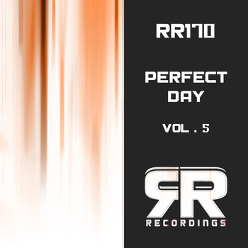 Various Artists - Perfect Day, Vol. 5