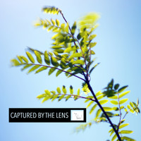 The Void - Captured by the Lens
