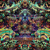 Disconnected spirit - Level 1
