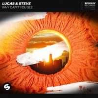 Lucas & Steve - Why Can't You See