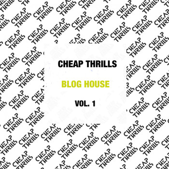 Various Artists - Blog House (Vol. 1)