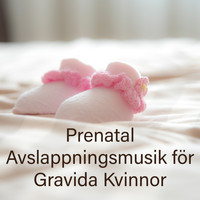 Helande Instrumentalmusik Akademi - Prenatal Avslappningsmusik för Gravida Kvinnor