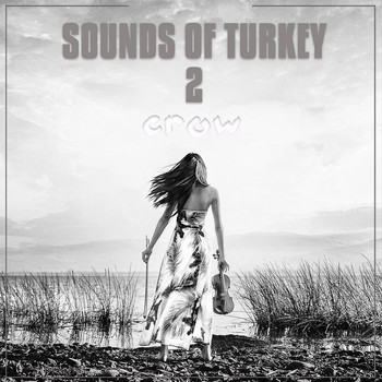 Crow - Sounds Of Turkey, Vol. 2