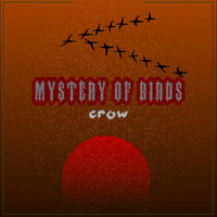 Crow - Mystery Of Birds