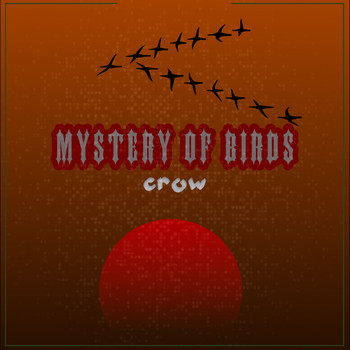 Crow - Mystery Of Birds