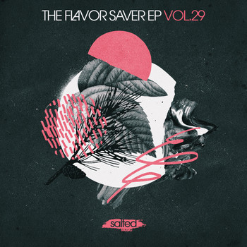 Various Artists - The Flavor Saver, Vol. 29