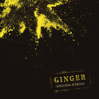 Ginger - Sélection d'épices