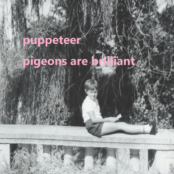 Puppeteer - Pigeons Are Brilliant