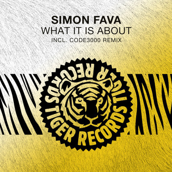 Simon Fava - What It Is About