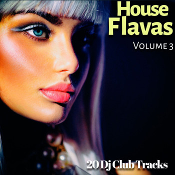 Various Artists - House Flavas, Vol. 3 (20 DJ Club Tracks)