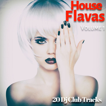 Various Artists - House Flavas, Vol. 1 (20 DJ Club Tracks)