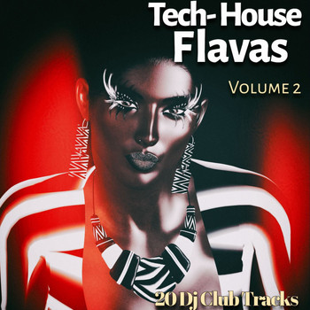 Various Artists - Tech House Flavas, Vol. 2 (20 DJ Club Tracks)