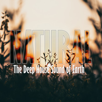 Various Artists - Natural (The Deep House Sound of Earth)
