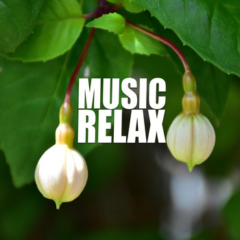Marcelo - Music Relax