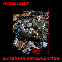 Aceskully - Exterior Fragile Cage