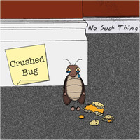 Crushed Bug - No Such Thing