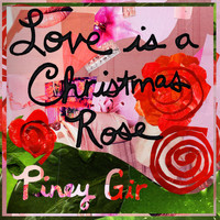Piney Gir - Love is a Christmas Rose