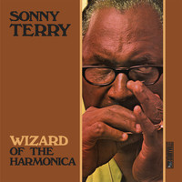 Sonny Terry - Wizard of the Harmonica