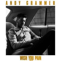 Andy Grammer - Wish You Pain (Radio Edit)