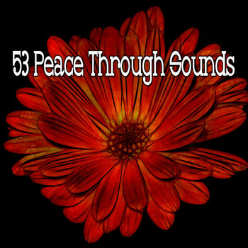Yoga - 53 Peace Through Sounds